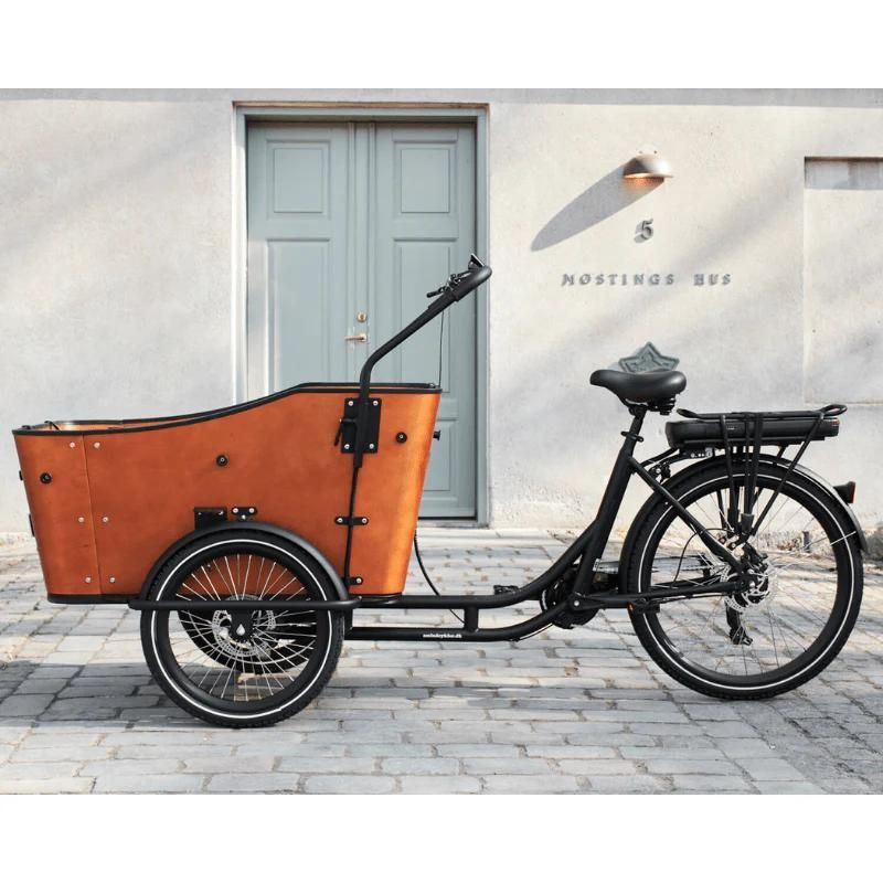 AmCargoBikes Ultimate Harmony - Cargo Electric Bike 