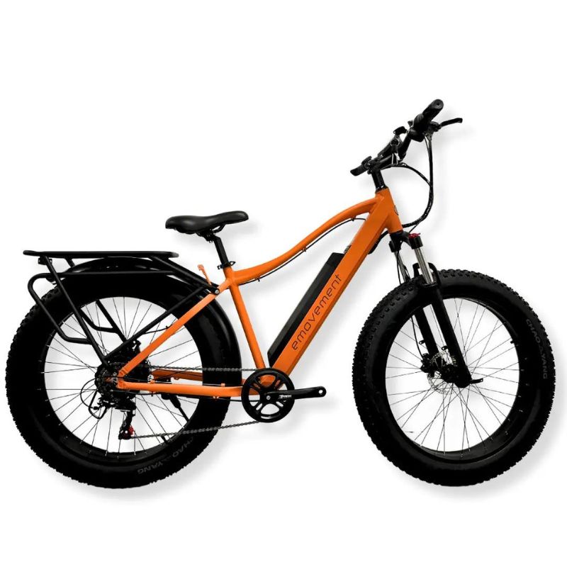 E-Bikes Express